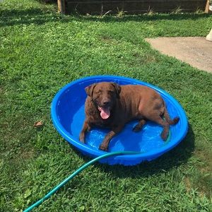 Meet your Posher, John